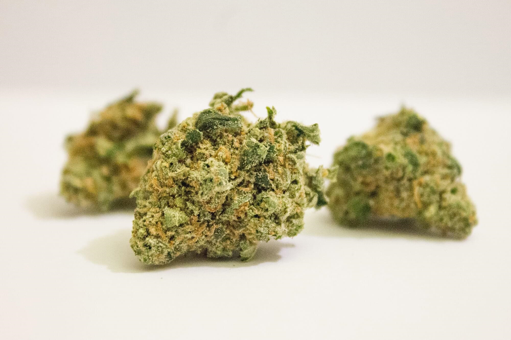 Lemon Skunk